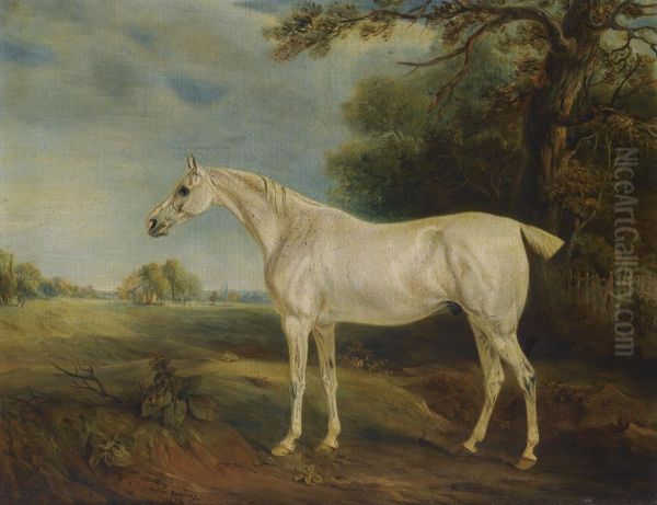 The Marquess Of Huntly's Fleabitten Grey Hunter Oil Painting by John Snr Ferneley