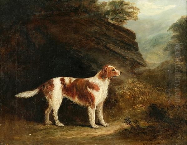 English Setter In A Landscape Oil Painting by John Jnr. Ferneley