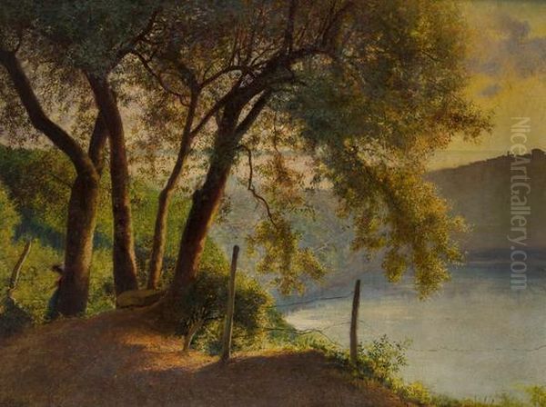 Veduta Del Lago Di Nemi Oil Painting by Carlo Ferrari