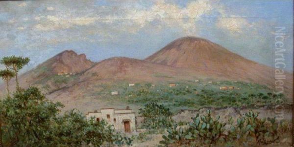 Veduta Del Vesuvio E Casa Oil Painting by Antonio Ferrigno