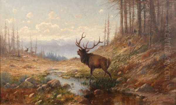 Bugling Elk Oil Painting by John Fery