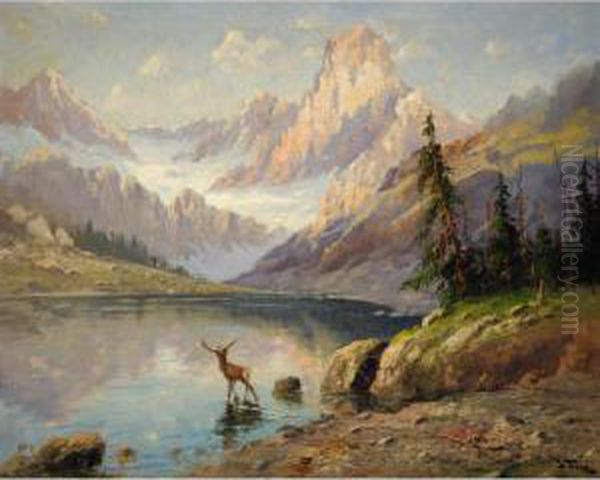 Rocky Mountain Elk Oil Painting by John Fery