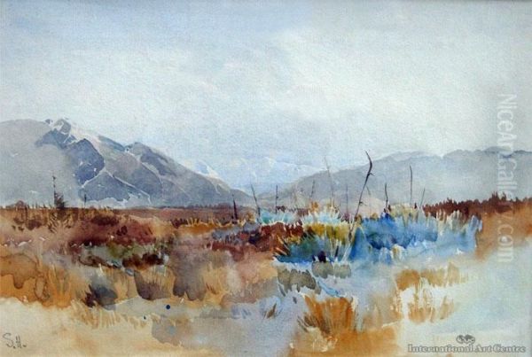 Central Otago Landscape Oil Painting by Isobel Field