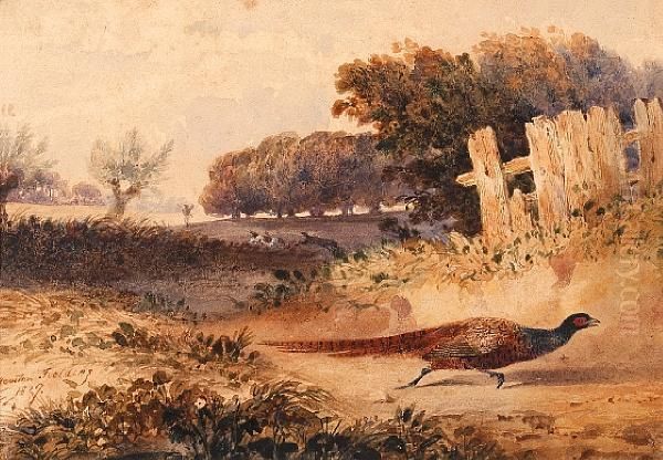 Pheasant Shooting Oil Painting by Newton Fielding