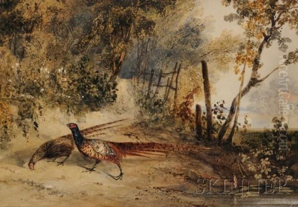 Pheasant Pair In A Landscape Oil Painting by Newton Fielding