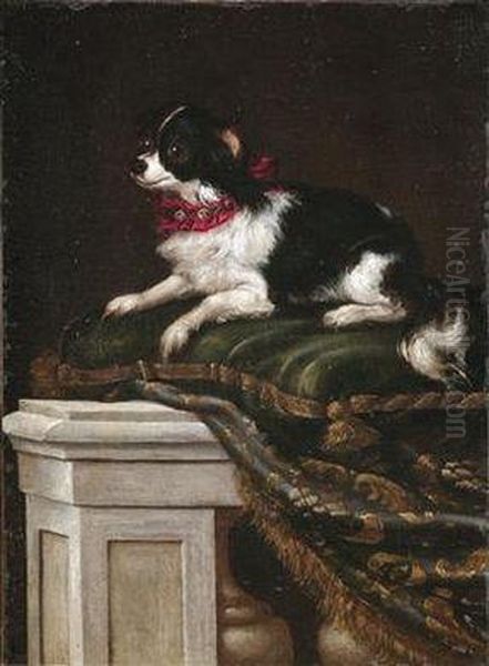 A Spaniel On A Cushion Oil Painting by Francesco (Il Maltese) Fieravino