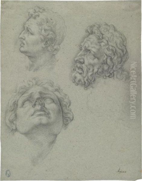 Studies Of Heads After The Laocoon Oil Painting by Ambrogio Giovanni Figino