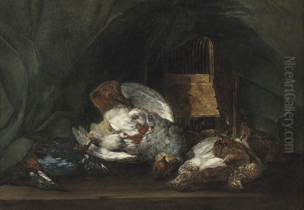 Game Including A Partridge, A Jay And Other Birds On A Table Oil Painting by Joannes Fijt