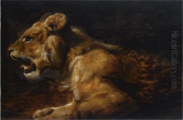 A Study Of A Reclining Lioness Oil Painting by Joannes Fijt