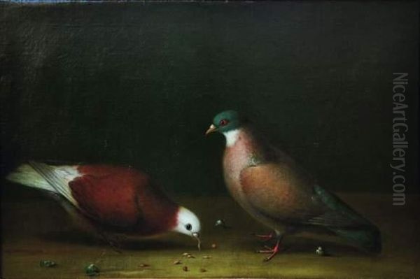 Deux Pigeons Picorant Oil Painting by Hermanns Niclaes Peters Fils