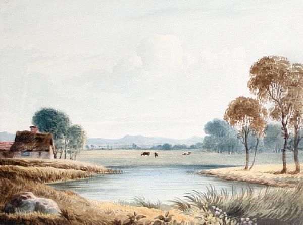 Country Landscape With A Lake And Cattle Oil Painting by Francis Oliver Finch