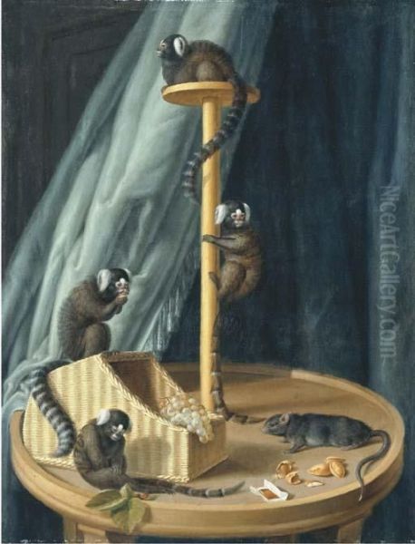 Exotic Species Of Monkeys From The Private Zoo Of Herzog Christianludwig Von Mecklenburg-schwerin Oil Painting by Dietrich Findorff