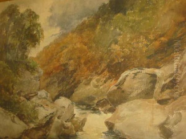 Woodland With Rocky Ravine Oil Painting by John Finnie