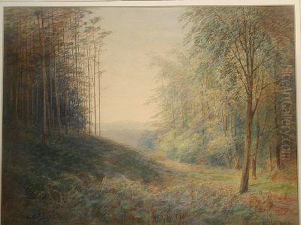 Woodland Scene Oil Painting by Alvan Fisher