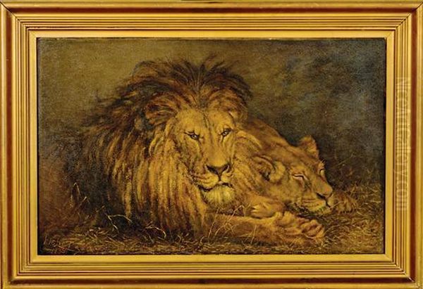 Lion And Lioness Oil Painting by Percy Harland Fisher