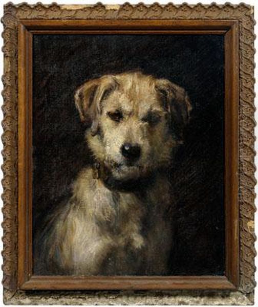 A Rough-coated Fox Terrier Oil Painting by Percy Harland Fisher