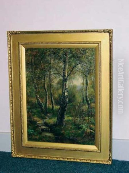 Stream In Wooded Landscape Oil Painting by Florence Fitzgerald