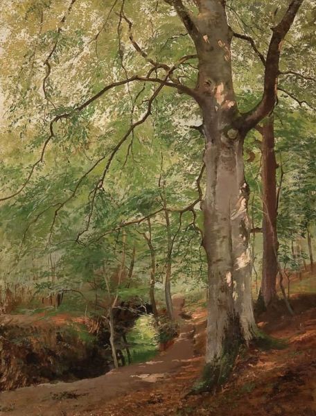 Forest Interior With Penetrating Sunlight Oil Painting by Paul Franz Flickel