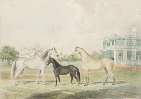 Horses And A Foal Infront Of Government House, Madras Oil Painting by John Joseph Foncica