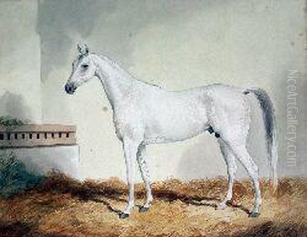 Study Of A White Stallion In A Stable Oil Painting by John Joseph Foncica