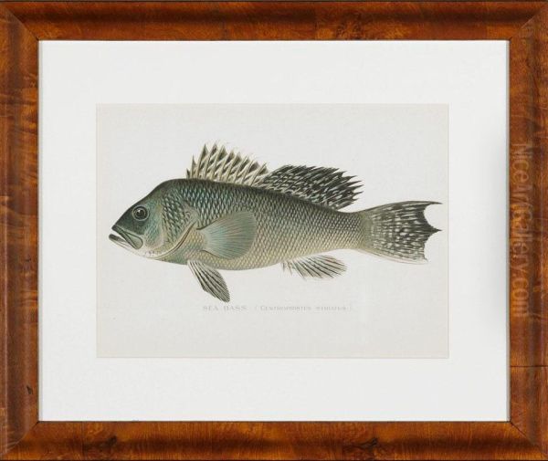 Fish Including Oil Painting by Sherman Foote Denton