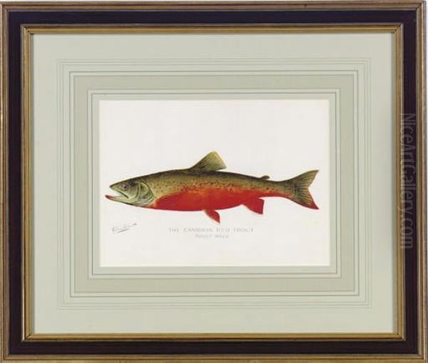 Annual Report Of The Commissioners Of Fisheries, Game And Forests Of The State Of New York: Eight Plates Oil Painting by Sherman Foote Denton