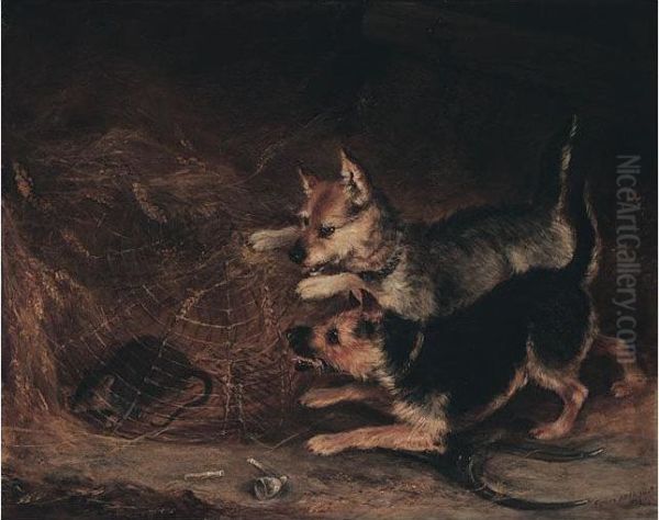 Terriers Ratting Oil Painting by Alexander Forbes