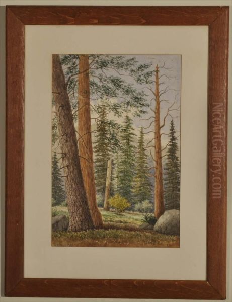 Depicting A High Country Landscape Probably Santa Barbara Vicinity Oil Painting by Henry Chapman Ford