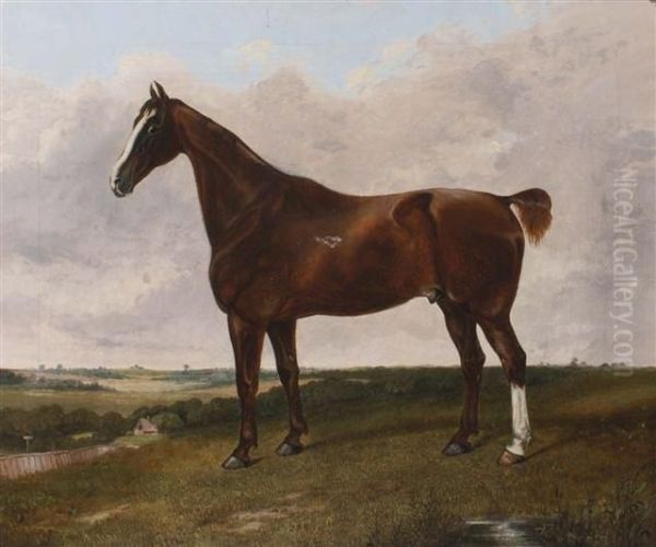 Daniel Oil Painting by William Forrest