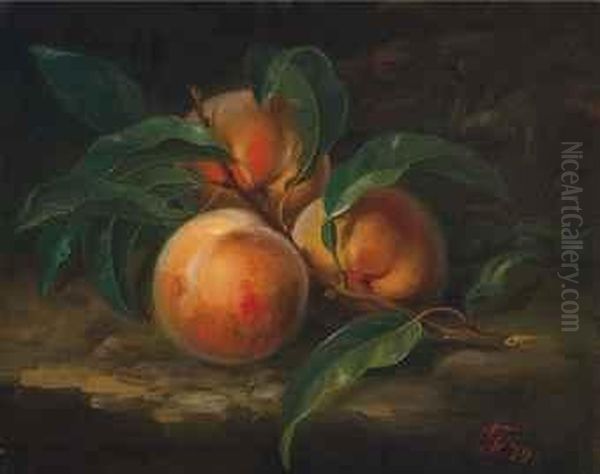 Still Life With Peaches Oil Painting by George Forster