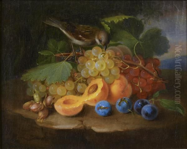 Nature Morte Aux Raisins, Abricots, Quetsches, Noisettes Et Oiseau Oil Painting by George Forster