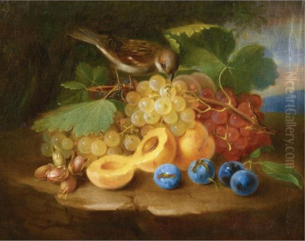 Still Life With Fruits And Birds Oil Painting by George Forster