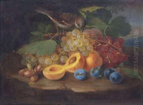 Still-life With Grapes, Peaches, Plums, Nuts And A Sparrow Oil Painting by George Forster