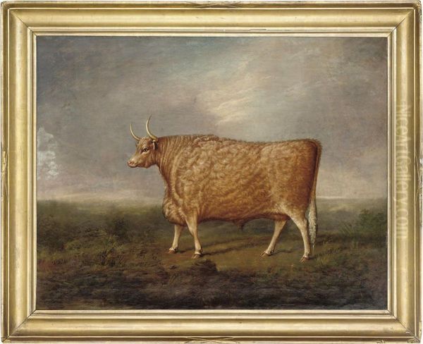 A Prize Longhorned Bull Oil Painting by Joseph Wilson Forster