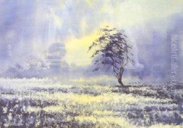 Lone Tree, Sunset Oil Painting by Mary Forster