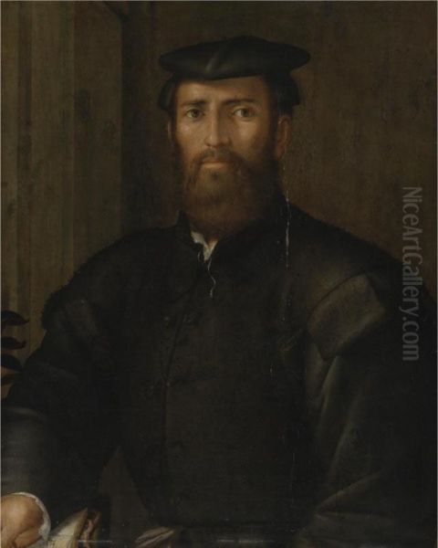 Portrait Of A Young Man In A Black Cap Oil Painting by Pier Francesco Foschi