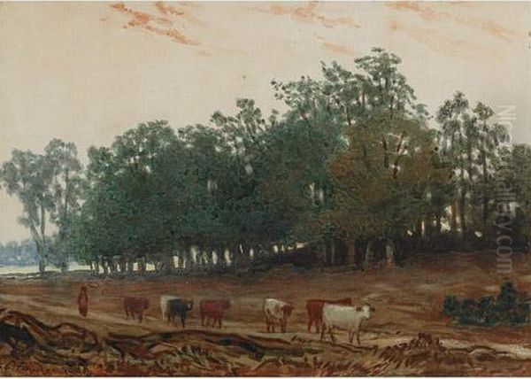 Returning Home, Cattle On A Woodland Path Oil Painting by Daniel Fowler