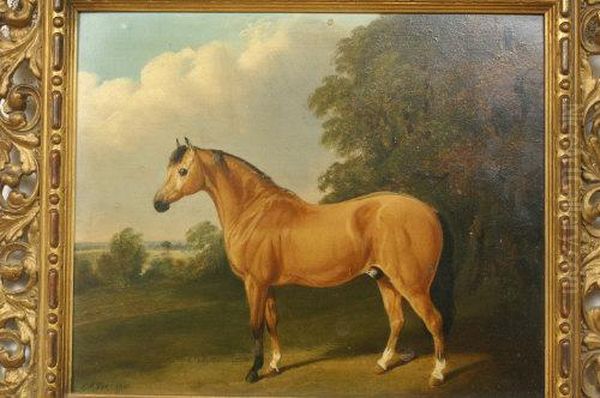 Study Of A Dun Arab Cob In A Landscape Oil Painting by Edwin M. Fox