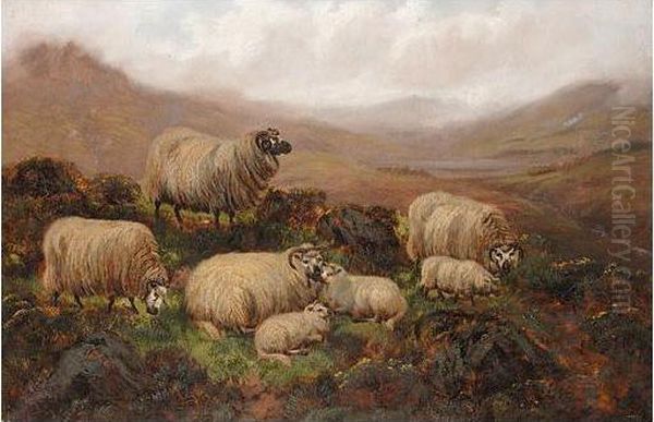 Sheep In The Highlands Oil Painting by John Fox