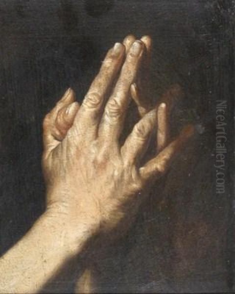 Study Of Hands In Prayer Oil Painting by Francesco Fracanzano