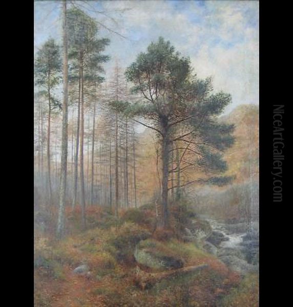 Wooded Landscape With Stream And Mountains In The Distance Oil Painting by Charles France