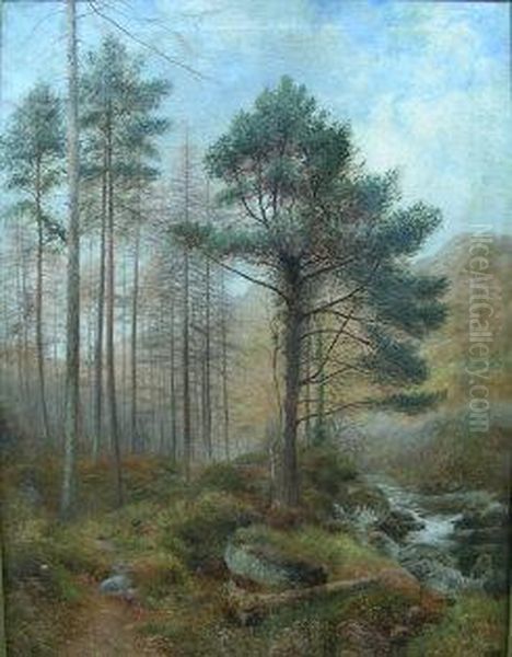 River Landscape With Pine Trees Oil Painting by Charles France