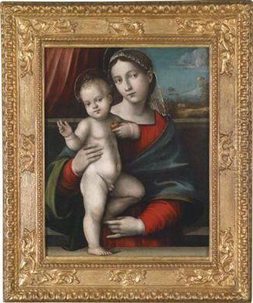 Madonna And Child Oil On Panel by Giacomo Raibolini