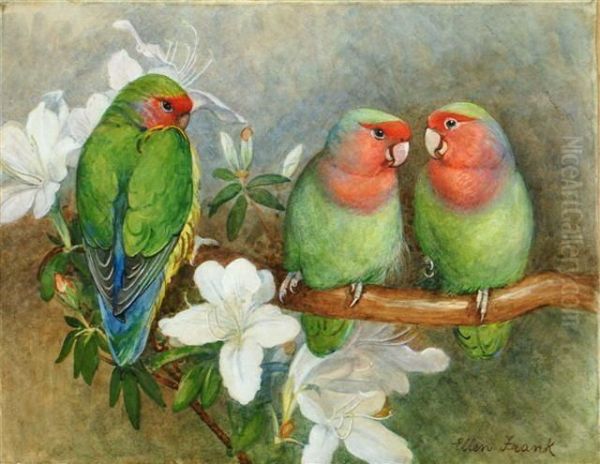 Three Parakeets Perched On A Flowering Branch Oil Painting by Ellen A. Frank