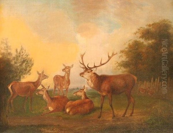 Hirsch Und Rehe Oil Painting by Johann Frankenberger