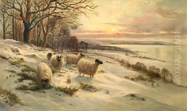 Sheep In The Snow At Sunset Oil Painting by Malcolm Fraser