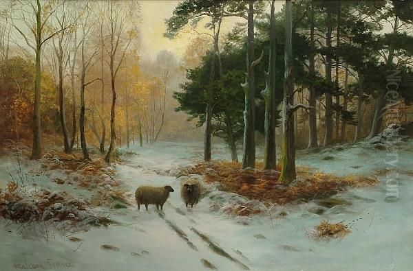 Sheep In A Winter Landscape Oil Painting by Malcolm Fraser