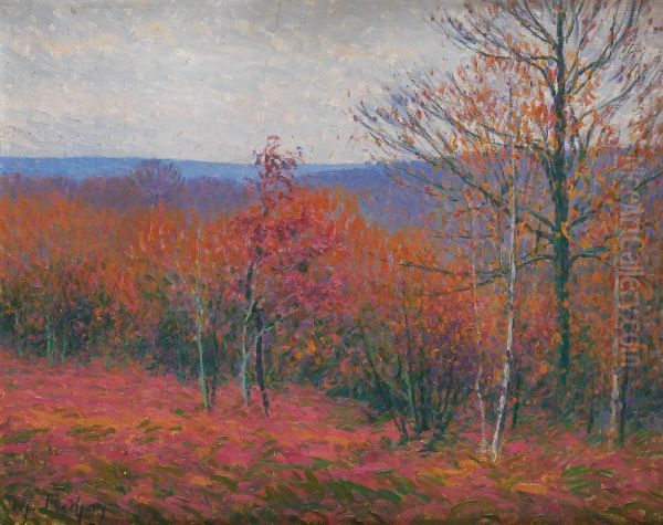 Sous Bois En Automne Oil Painting by Charles Frechon