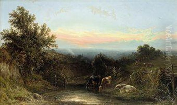 Cattle Watering By A Stream At Sunset Oil Painting by John F Tennant