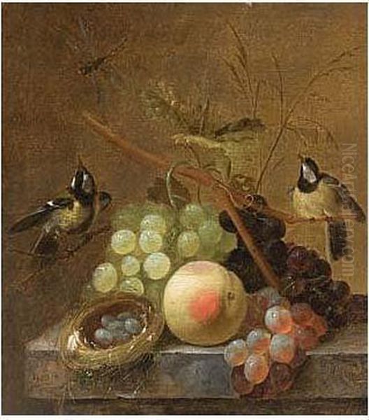 A Still Life Of Grapes, A Peach And A Dragonfly, Together With Blue Tits And A Bird's Nest, Arranged Upon A Marble Ledge Oil Painting by Johannes Hendrick Fredriks